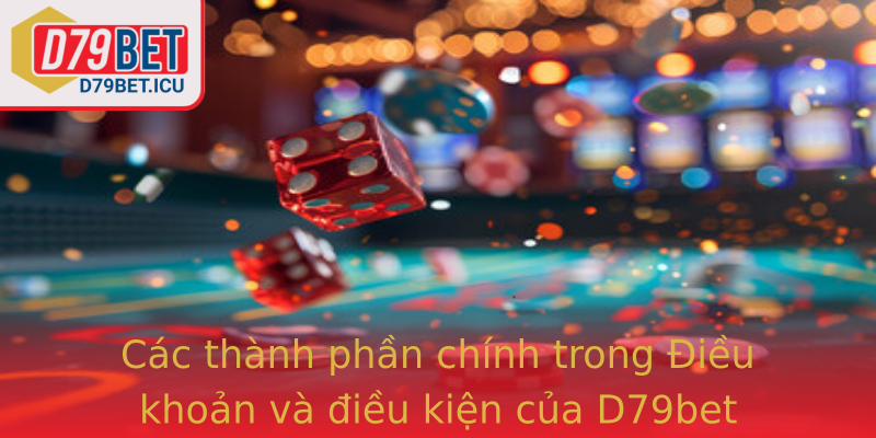 Các thành phần chính trong Điều khoản và điều kiện của D79bet