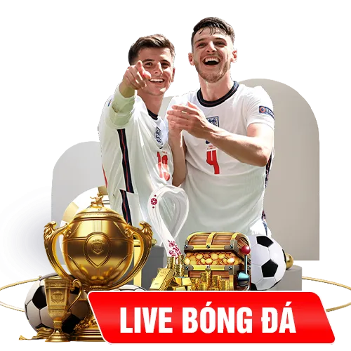 D79bet - Trải Nghiệm Nhà Cái Uy Tín Bạn Không Thể Bỏ Qua 2 Live Bong Da